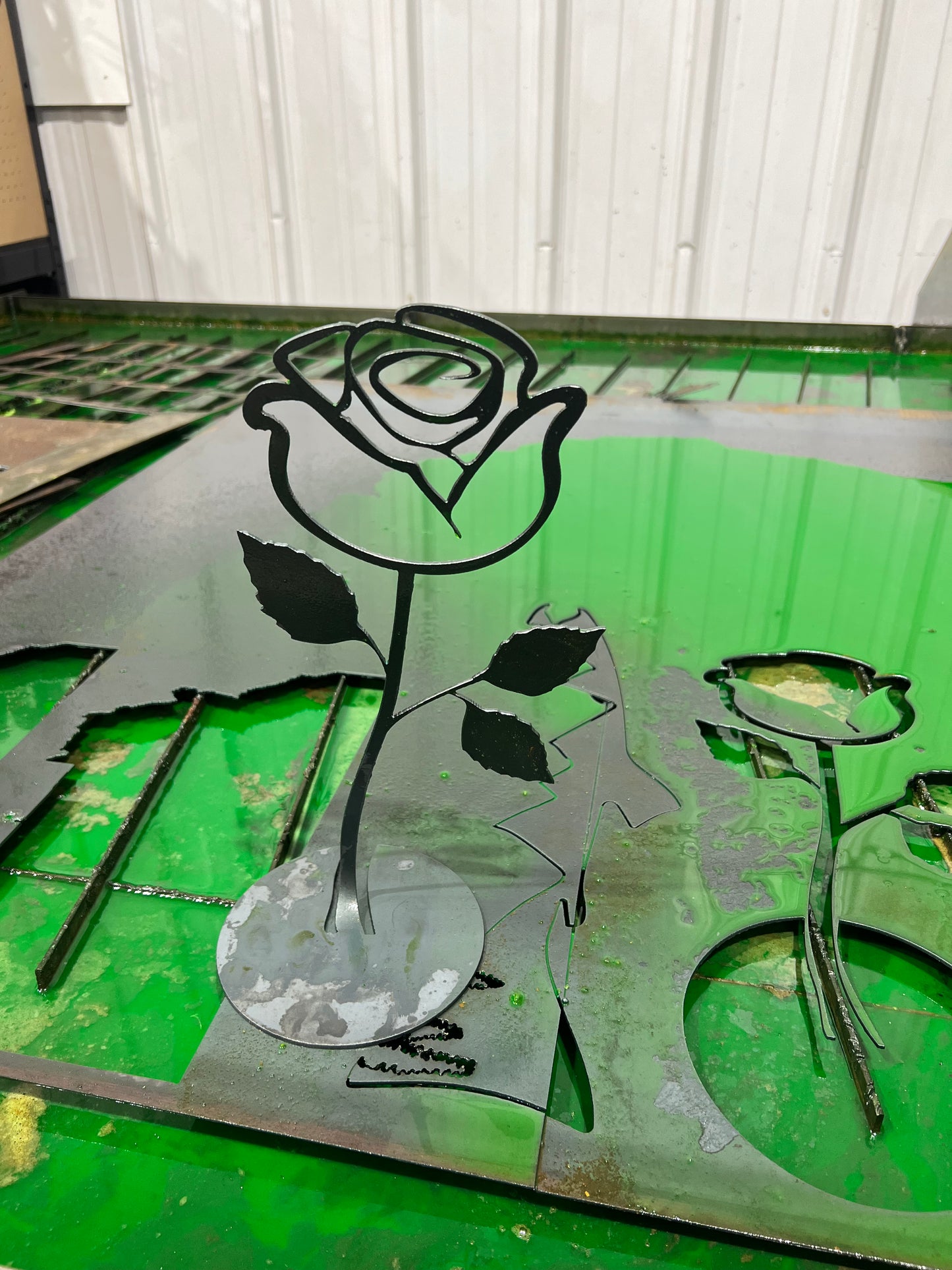 A rose that is forever….